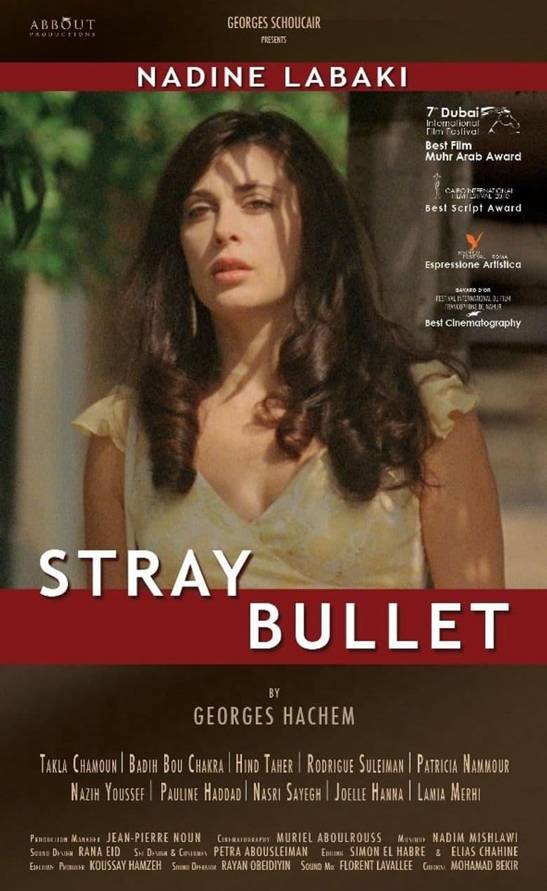 Stray Bullet