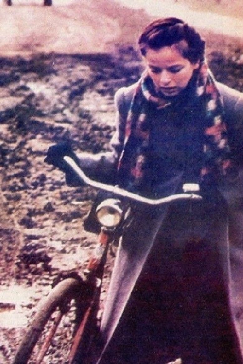 TV Screen Snows