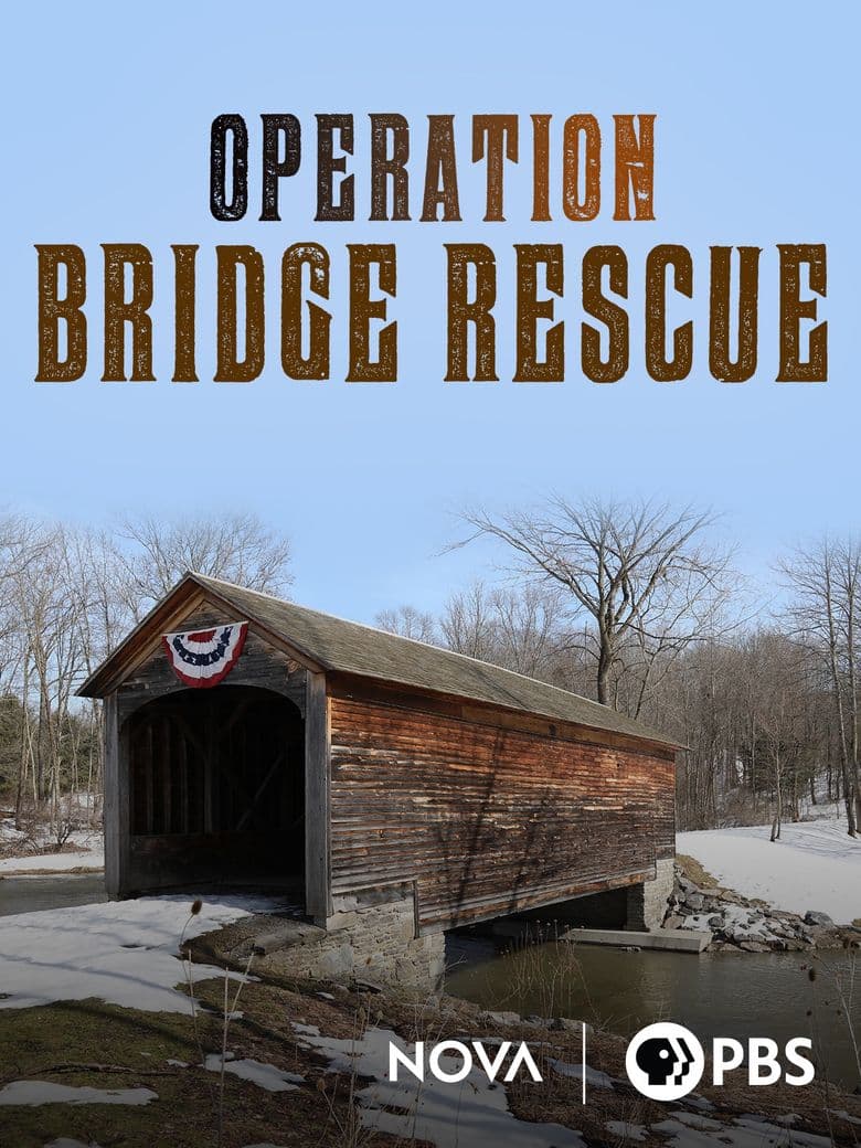 Operation Bridge Rescue