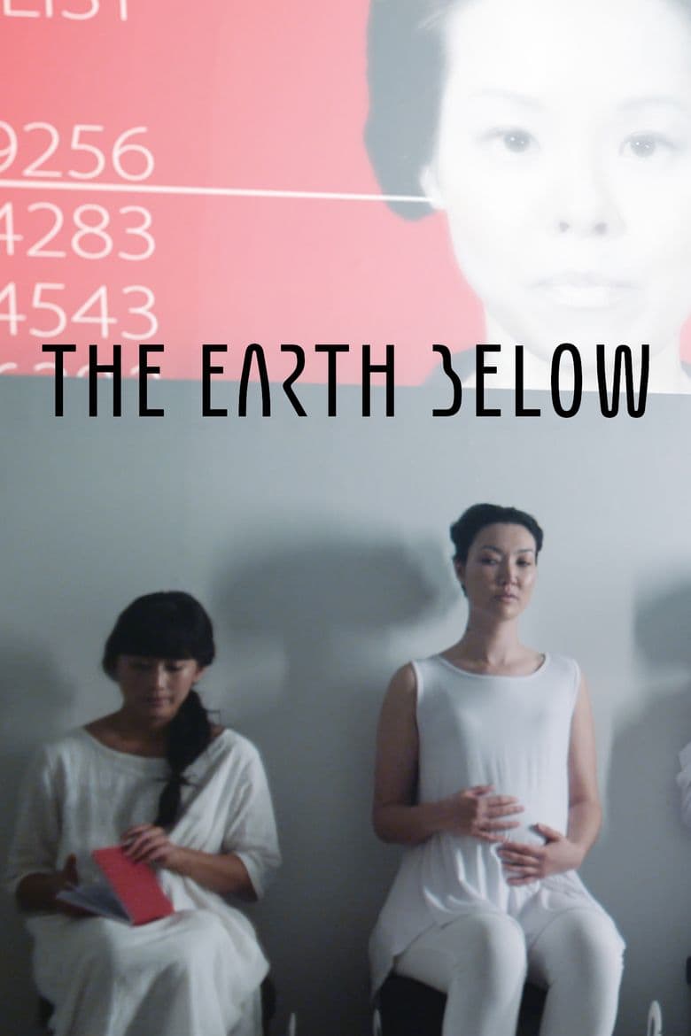 The Earth Below