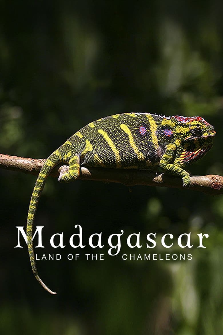 Madagascar: Land of the Chameleons