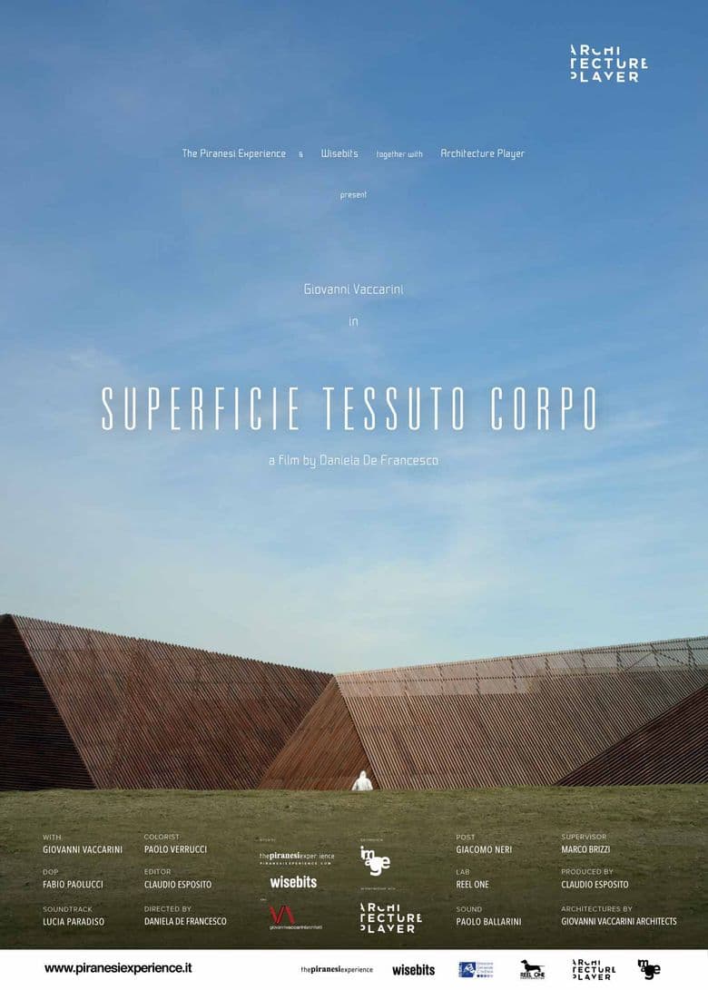 Superficie Tessuto Corpo