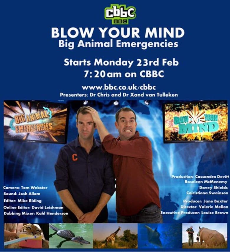 Blow Your Mind
