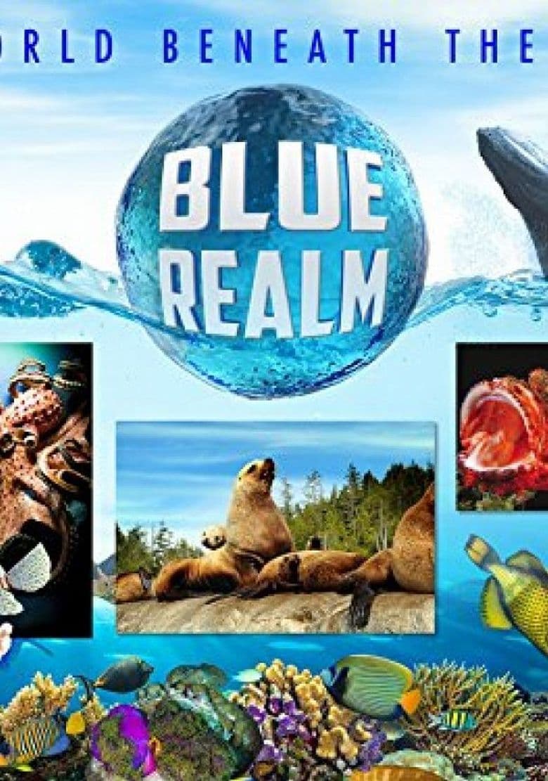 Blue Realm