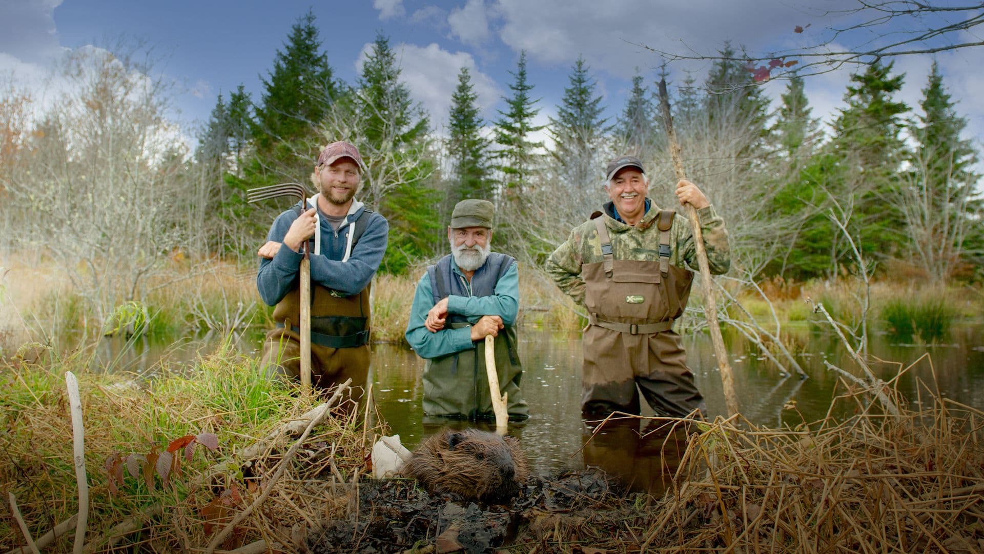 Beaver Brothers