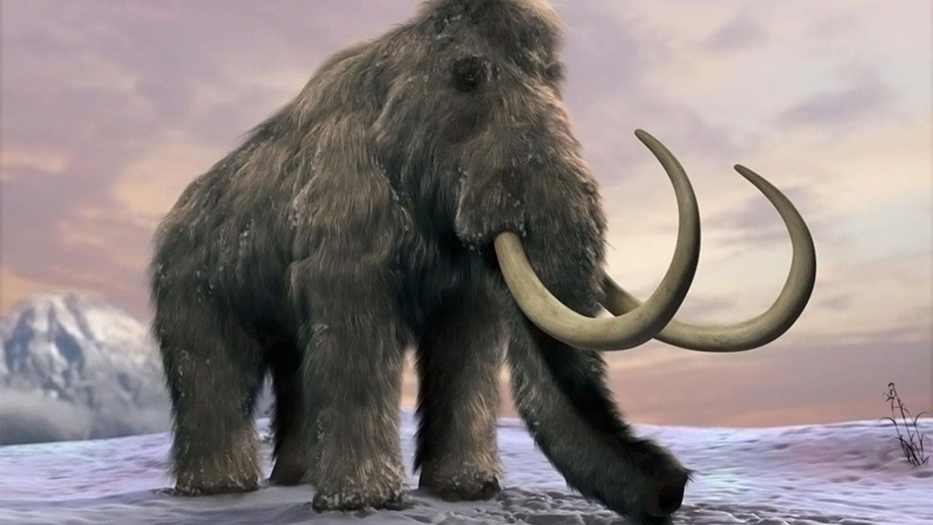 Extinct