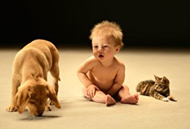 Secret Life of Babies