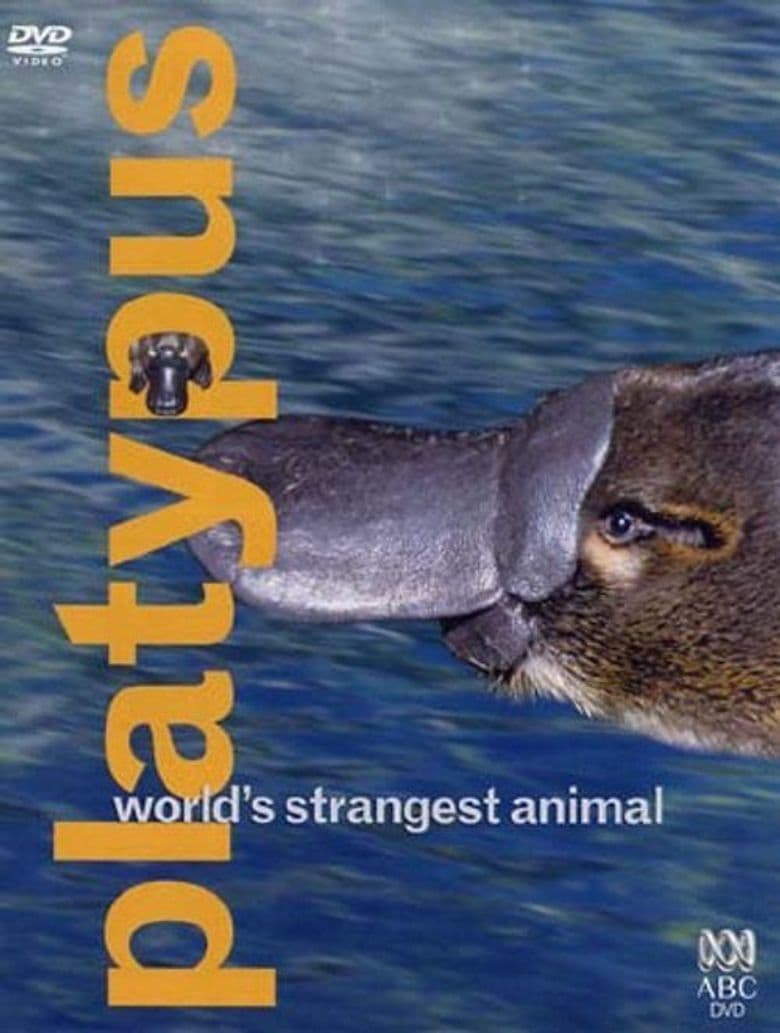 ABC Documentaries