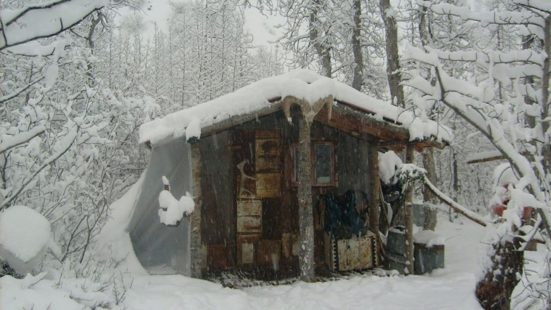 The Alaska Experiment