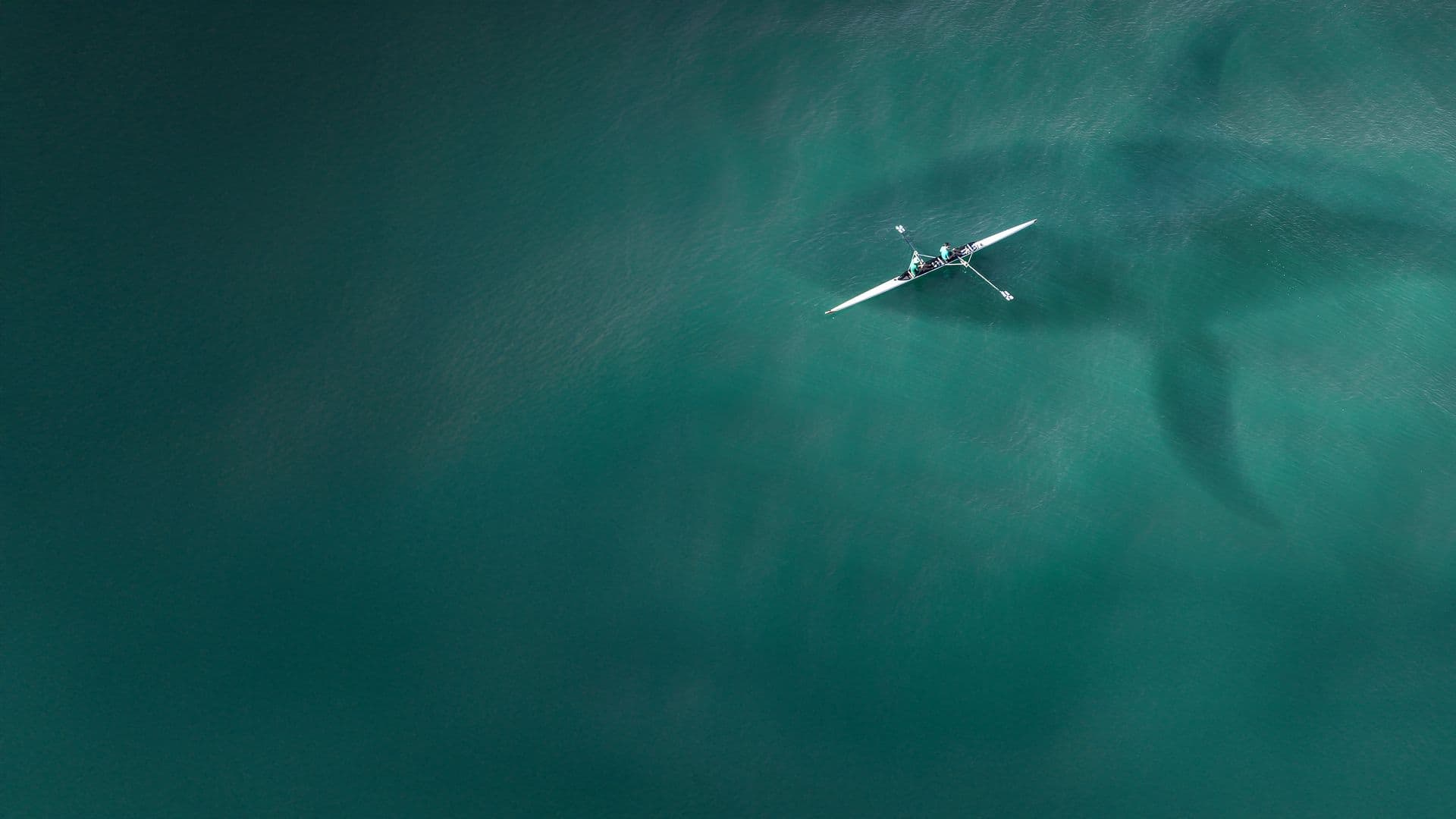 The Sea Hunters