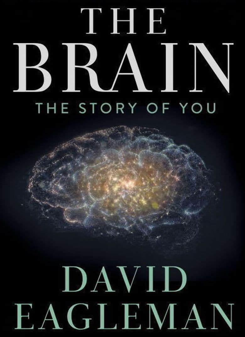 The Brain with Dr. David Eagleman