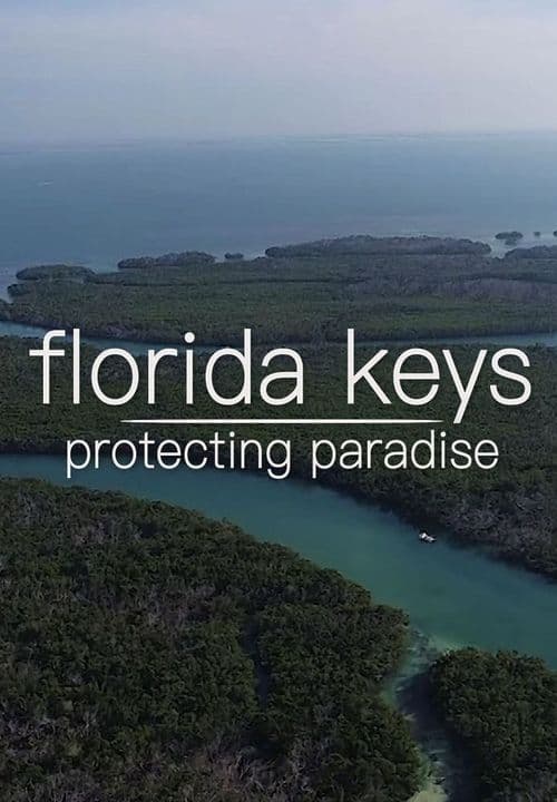 Florida Keys: Protecting Paradise