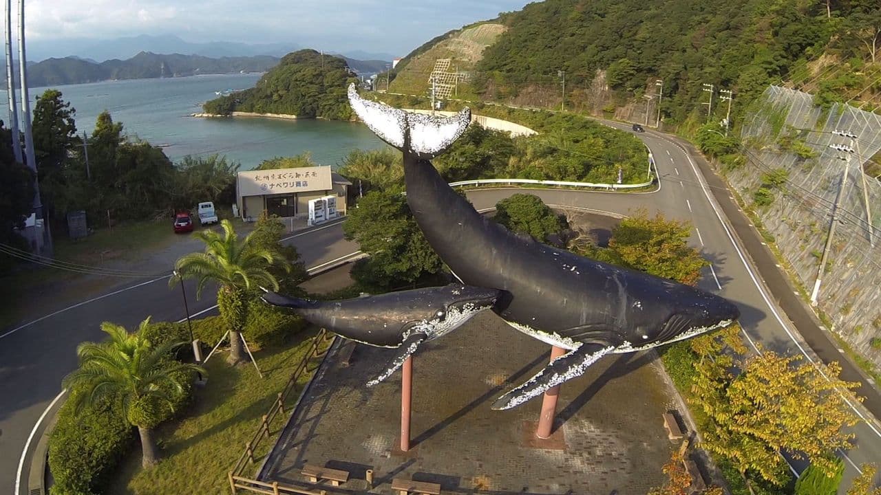 A Whale of a Tale