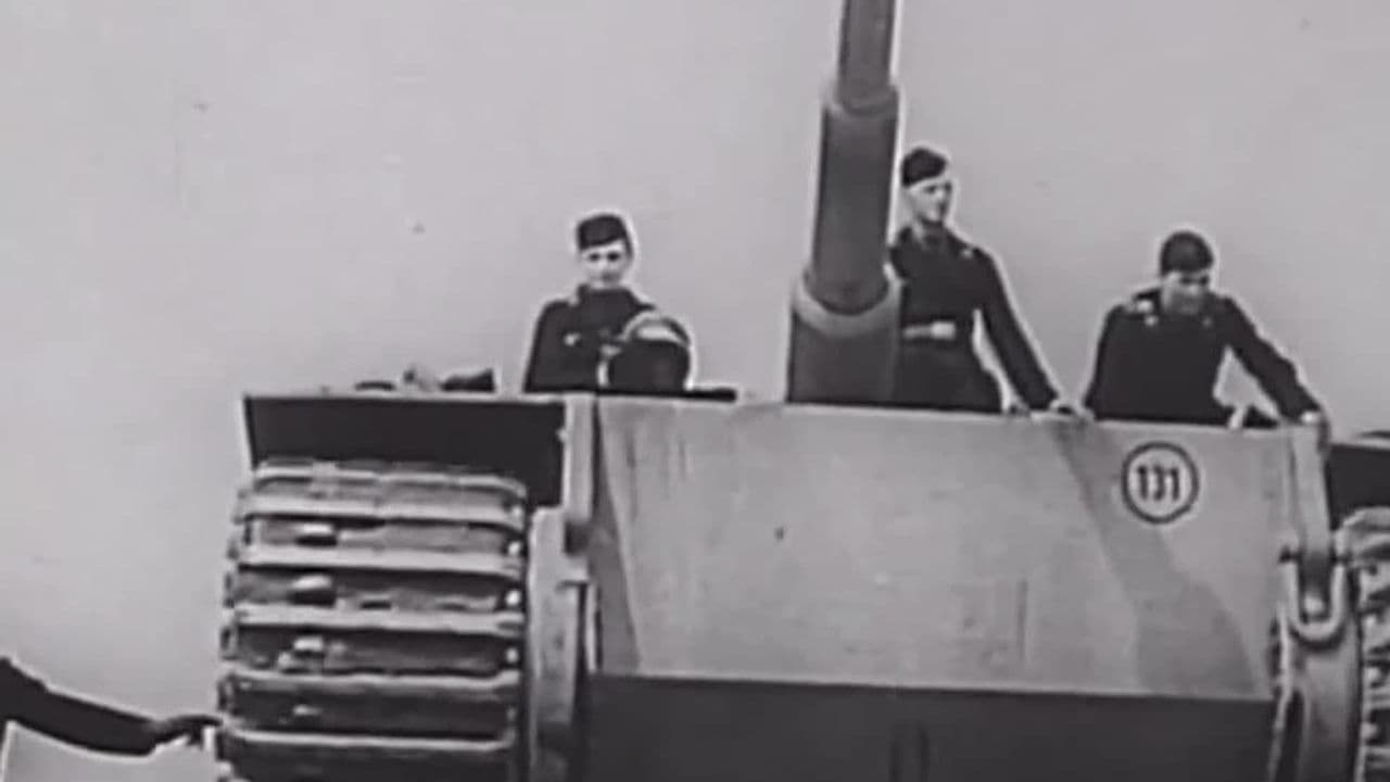 Tiger 131: Revisited