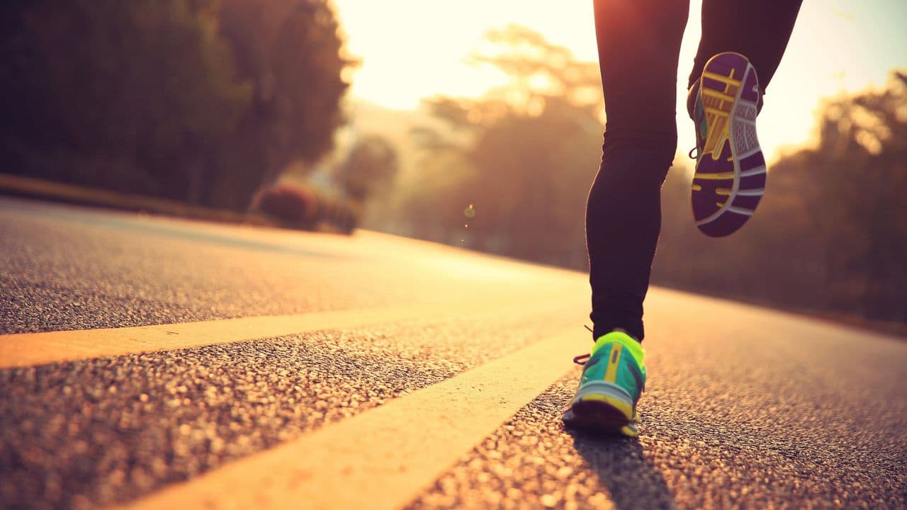 Endurance - Day in the Life - Coach