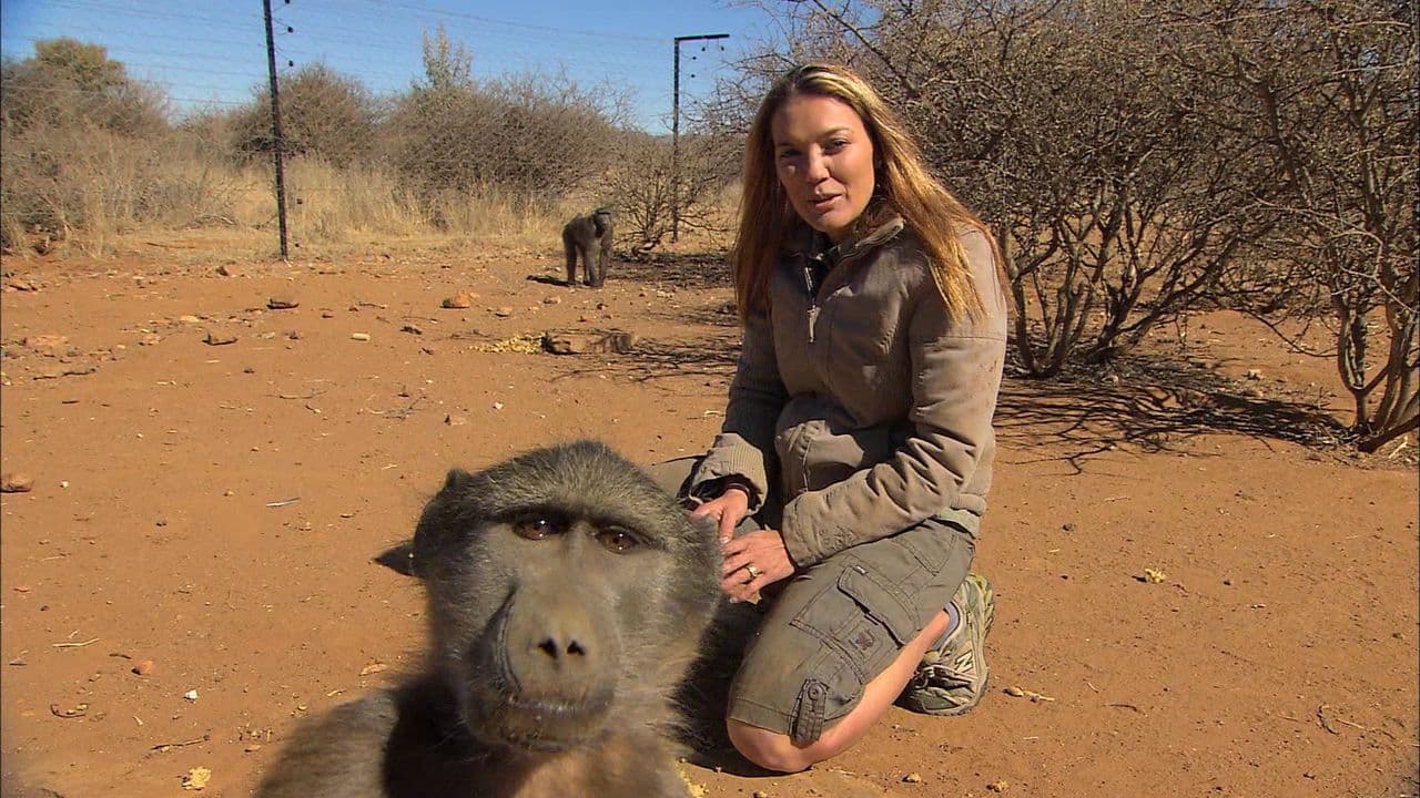 Wild Animal Orphans