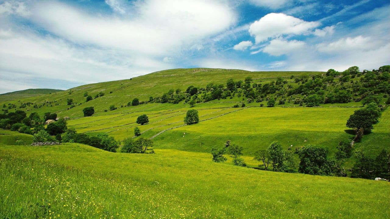 Wild Wales
