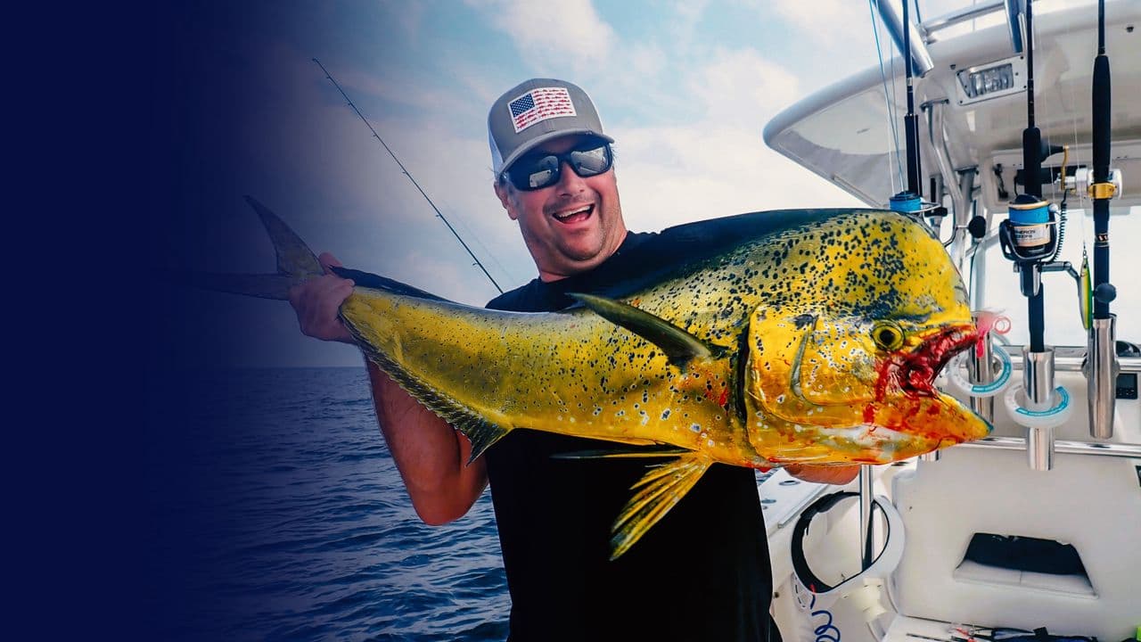 Saltwater Underground with Nick Honachefsky