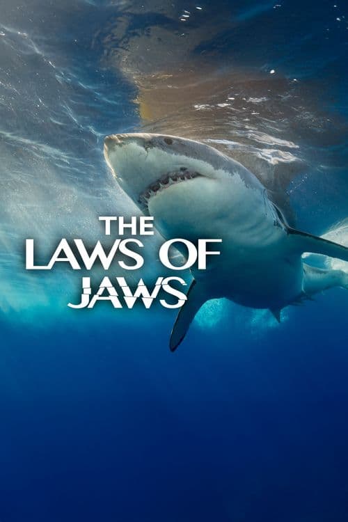 Laws of Jaws: Dangerous Waters