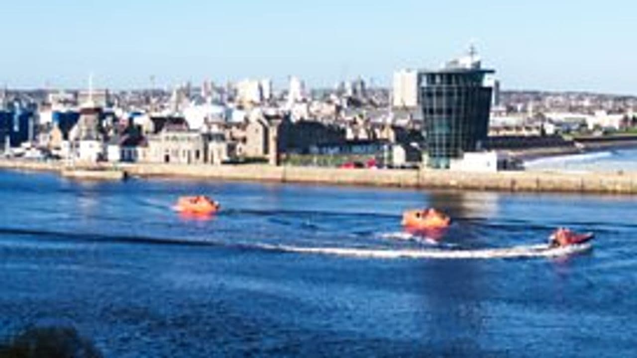 The Harbour