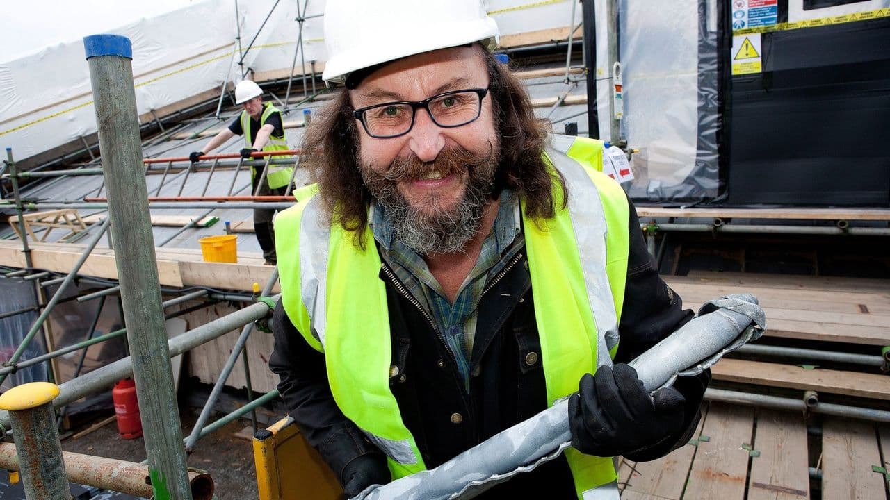 The Hairy Builder