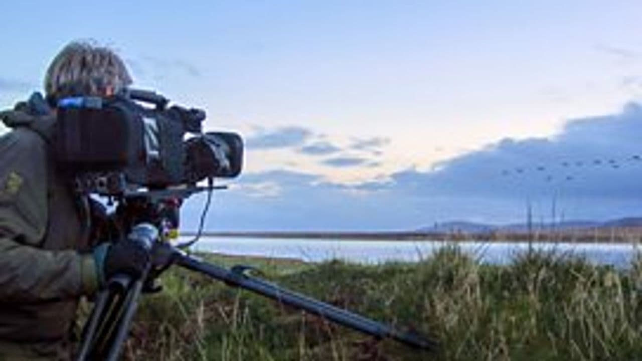 Wild Cameramen at Work